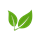 alternative-vegetarienne.png