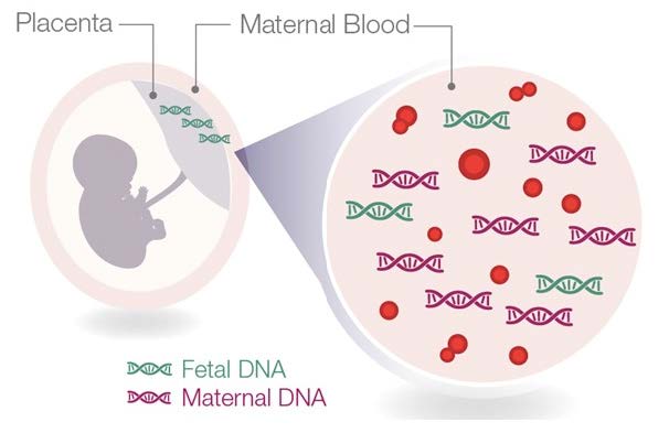 Gene_3.jpg