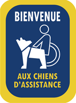 Bienvenue aux chiens d'assistance